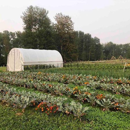 ホテル Bodhi Farms ボーズマン エクステリア 写真